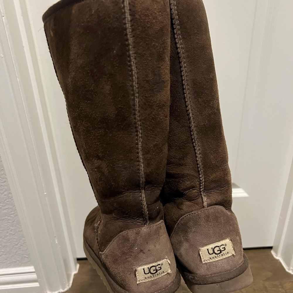 Brown Tall Uggs